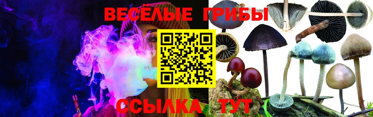 Галлюциногенные грибы GOLDEN TEACHER Тейково
